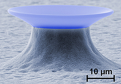 Micro goblet out of PMMA, (C) image: APH, AG Kalt and IMT, AG Mappes