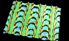 3-D representation of snake pattern 