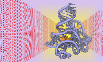 3D biomolecules (KIT, Schug)
