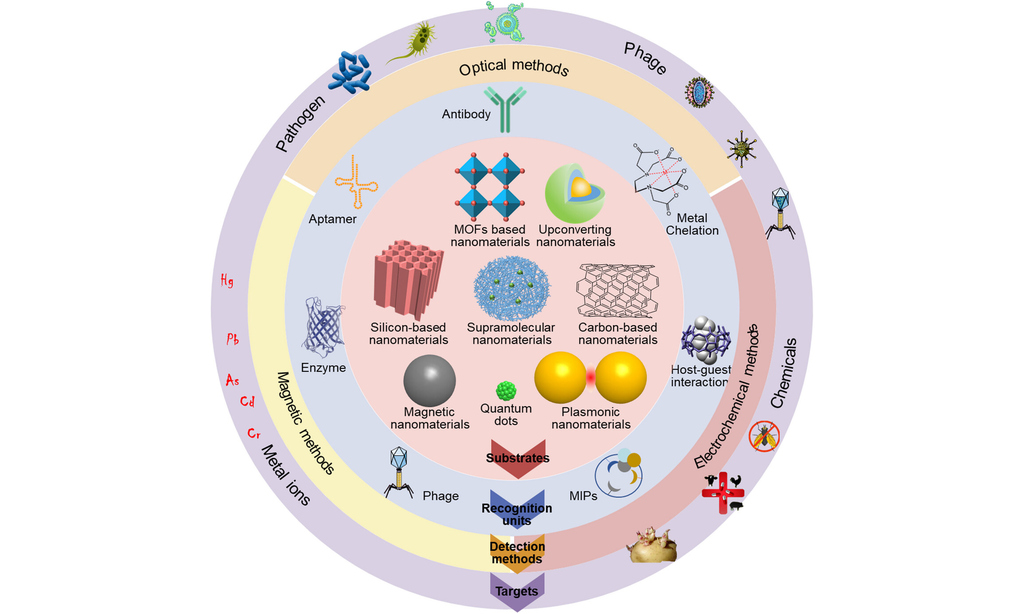 The general compositions of nanosensors, including nano substrates, binding elements, and the detection mechanisms (producing detectable signals) for contaminants in food.