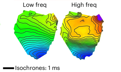 doi.org/10.1038/s44161-025-00728-9
