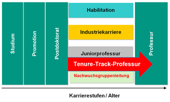 Wege zur Professur