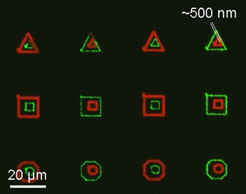 Multiplexed Lipid Pattern