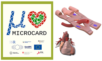 Numerical modeling of cardiac electrophysiology at the cellular scale